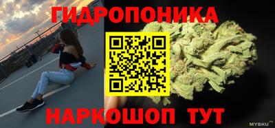 тгк Будённовск