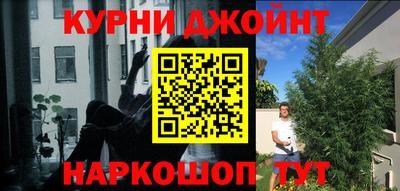 тгк Будённовск