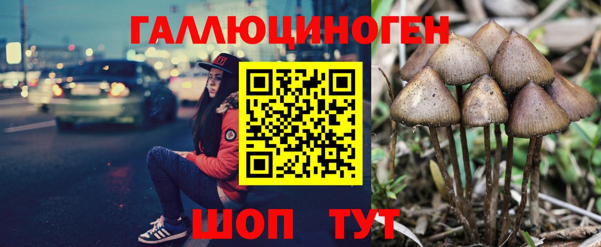 Галлюциногенные грибы MAGIC MUSHROOMS  Вход с VPN  Нововоронеж 