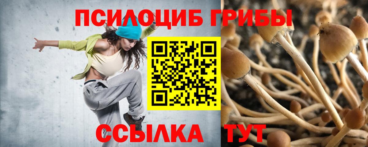 Псилоцибиновые грибы Cubensis Нововоронеж